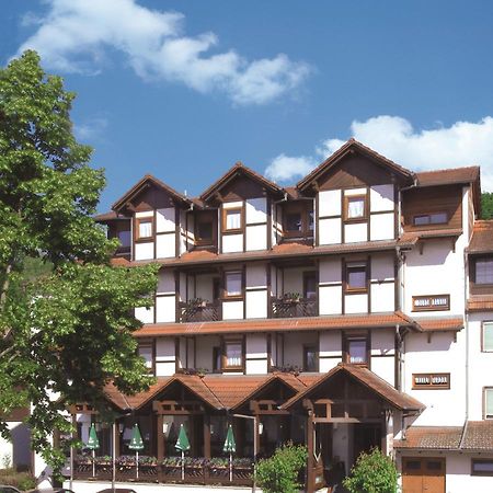 Hotel Blick Zum Maimont à Ludwigswinkel Extérieur photo