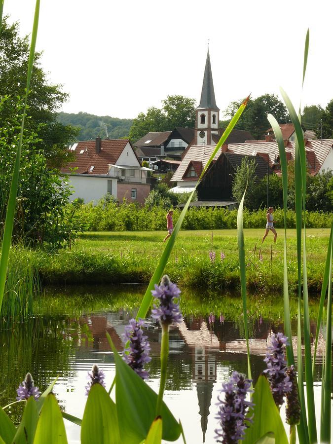 Hotel Blick Zum Maimont à Ludwigswinkel Extérieur photo