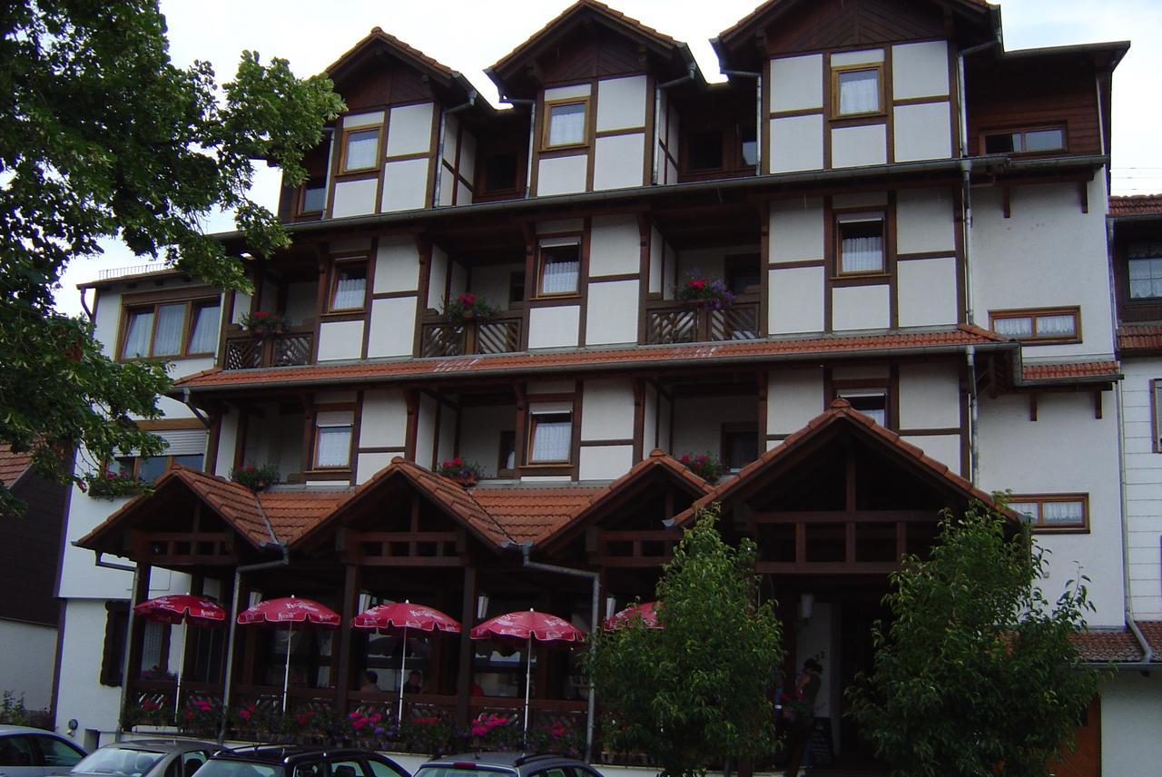 Hotel Blick Zum Maimont à Ludwigswinkel Extérieur photo